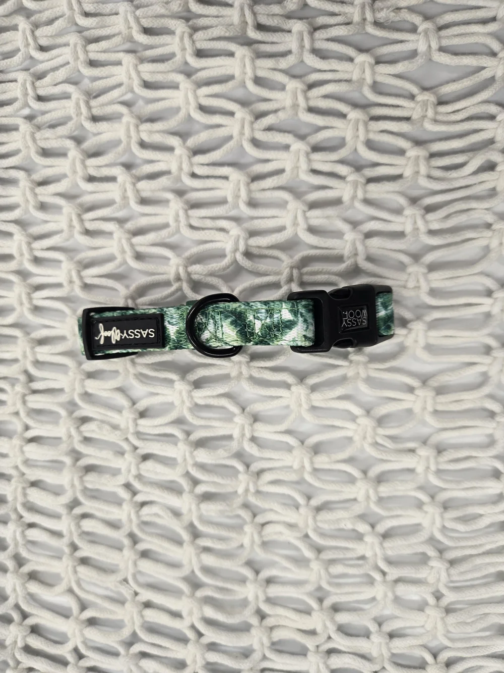 Sassy Woof Green Tropical Leaf Pet Collar - SMALL